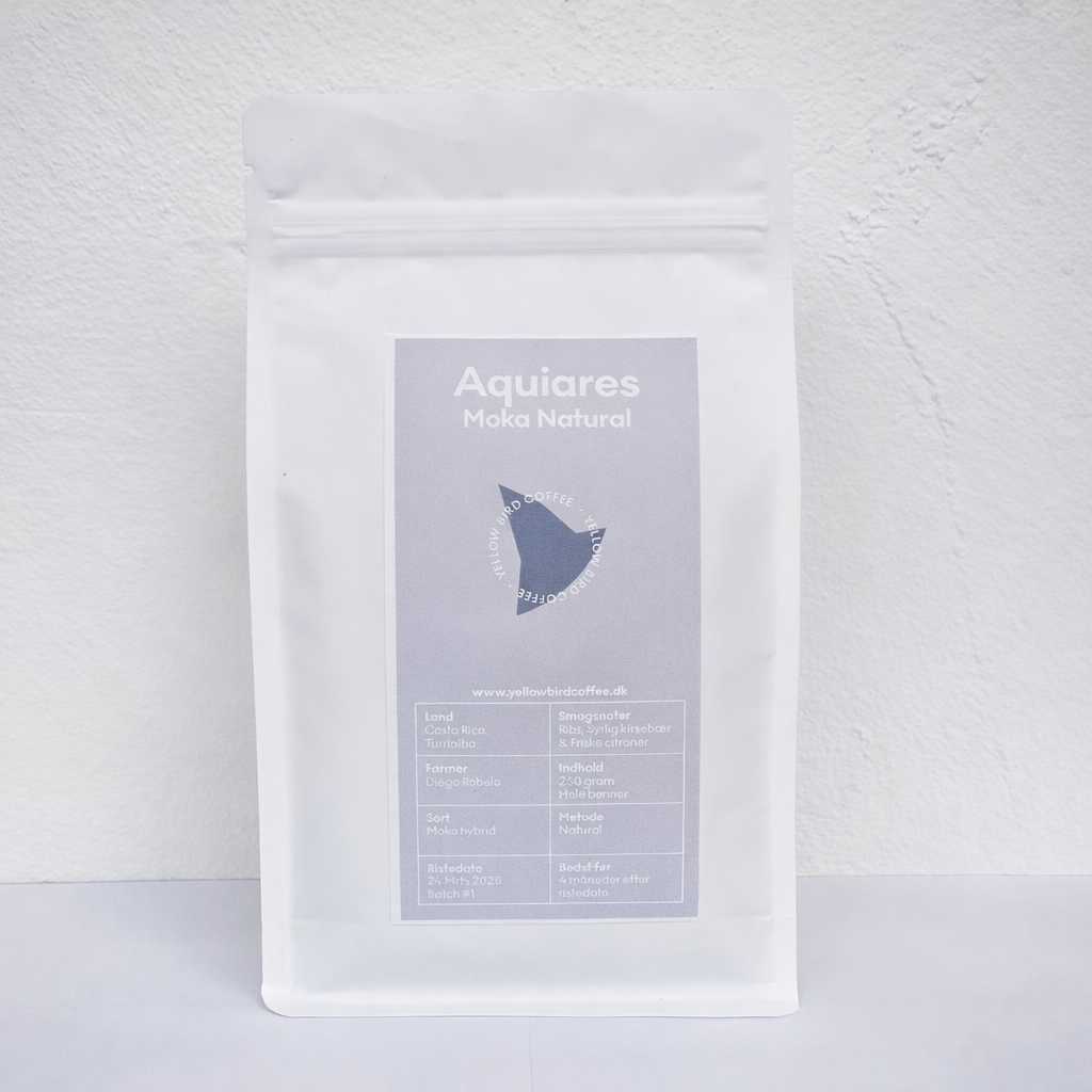 variant_562142088728322