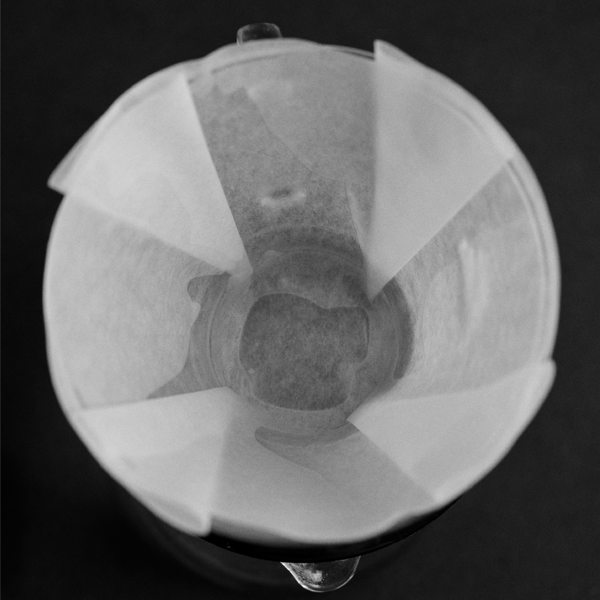 variant_553085872049925