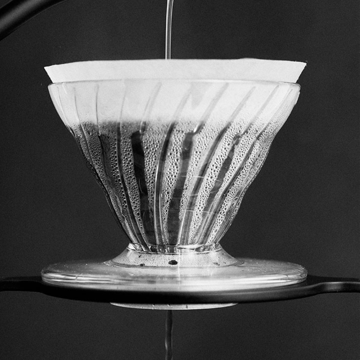 variant_553085384134404