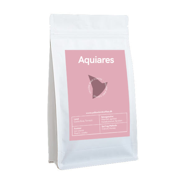 variant_559282852335362