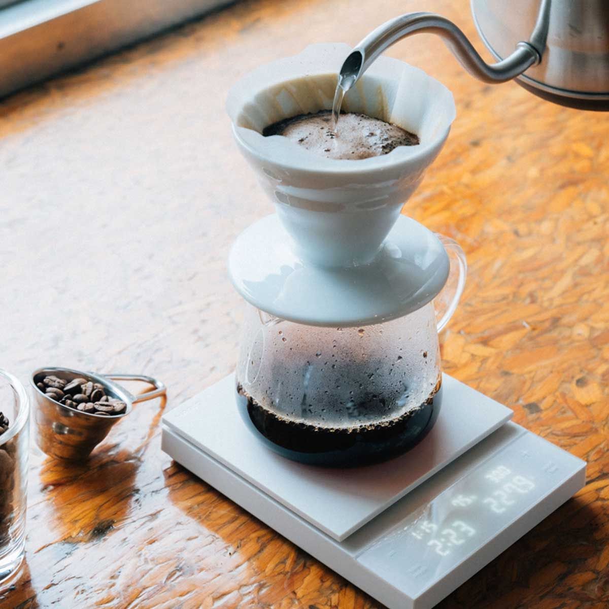 variant_558614896971526