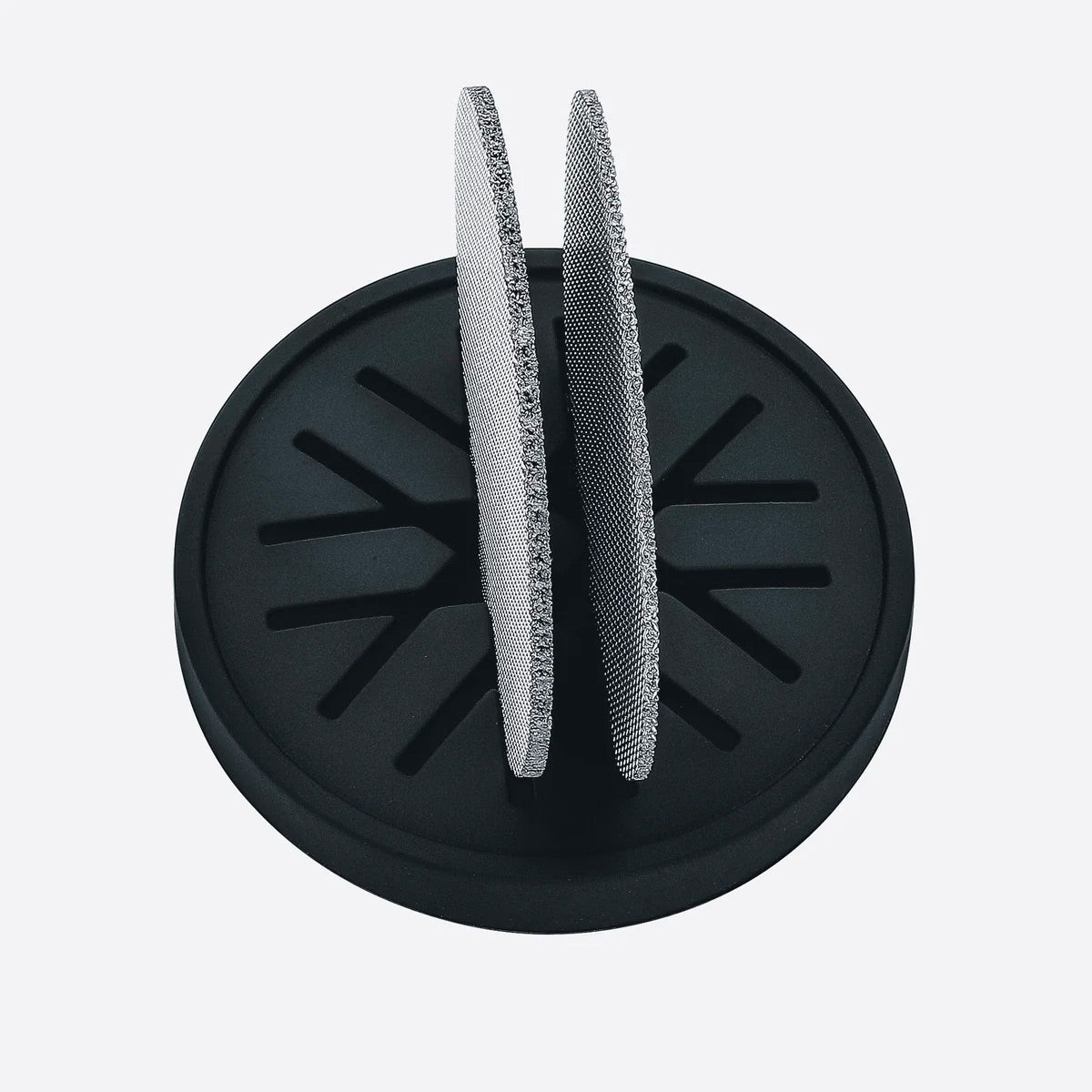 variant_481299088018583