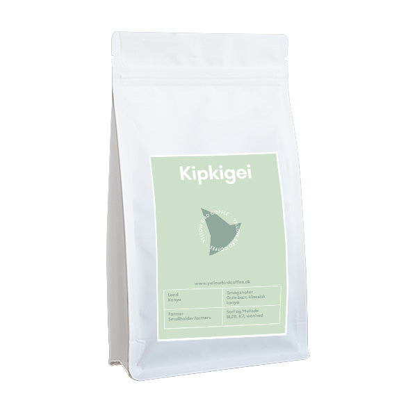 variant_562022536974082