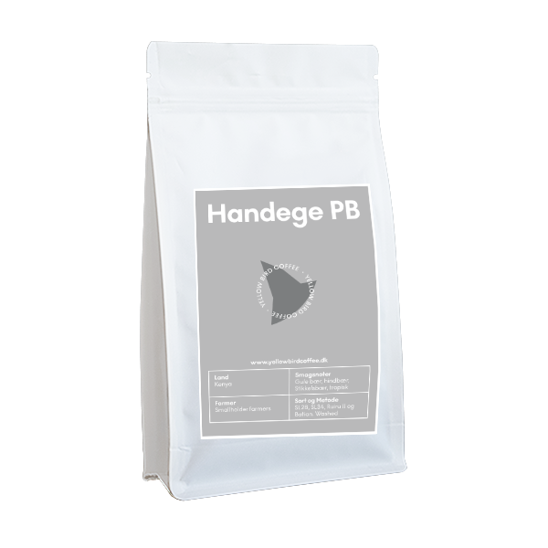 variant_562142089056002